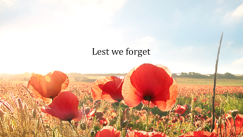 Remembrance Day pic - wide